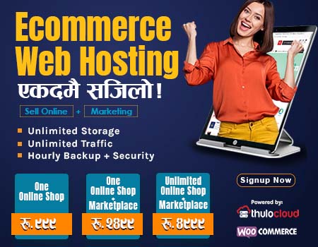 Ecommerce Web Hosting, online shop soltuions, woocommerce