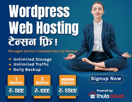 Wordpress Web Hosting Nepal, customized wordpress solution